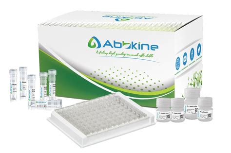 EliKine™ Human IgG ELISA Kit 